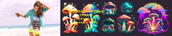 дживик Баксан