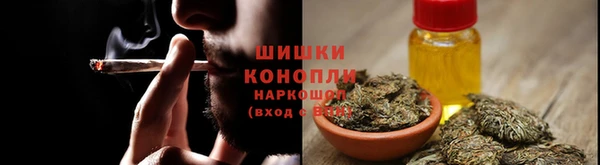 дживик Баксан